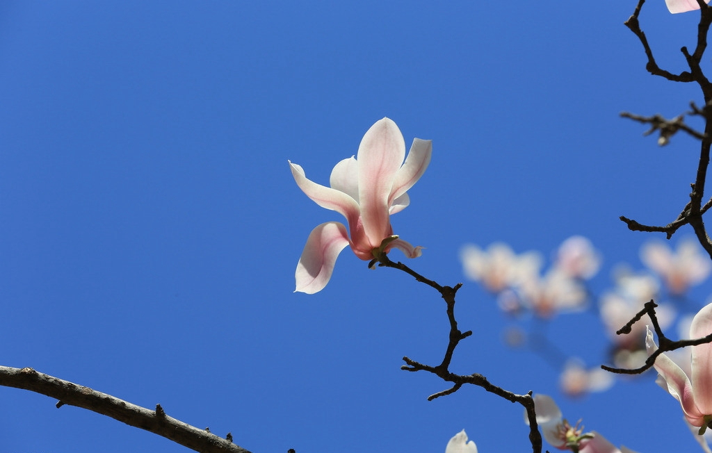 煙氣換熱器，助力守護(hù)藍(lán)天