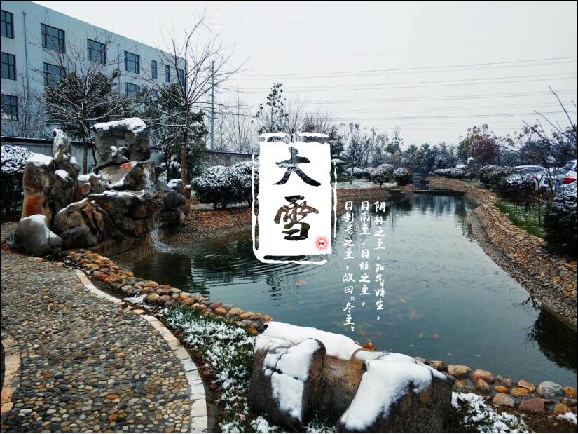 大雪已至，你那里“消白”了嗎？