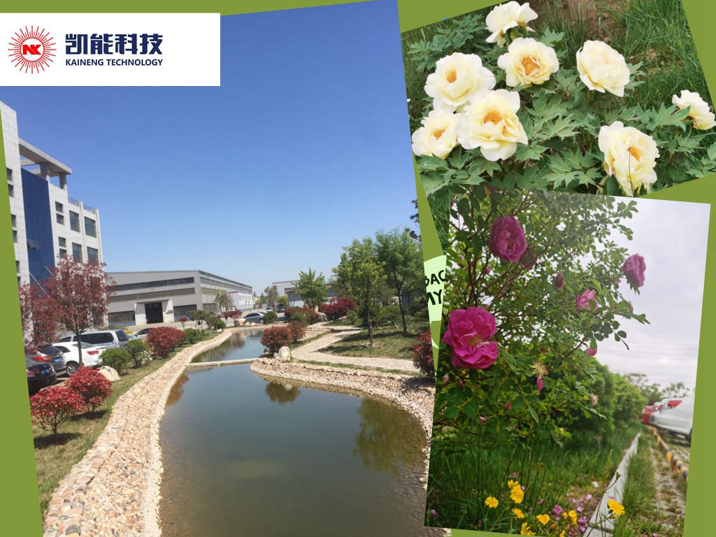 又是一年鳥語花香時，節(jié)能環(huán)保不松懈