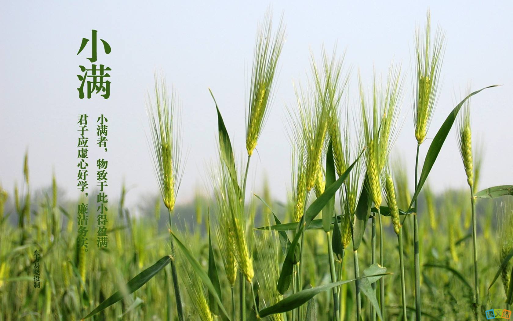 小滿剛過，凱能科技溫馨提醒：夏天來咯