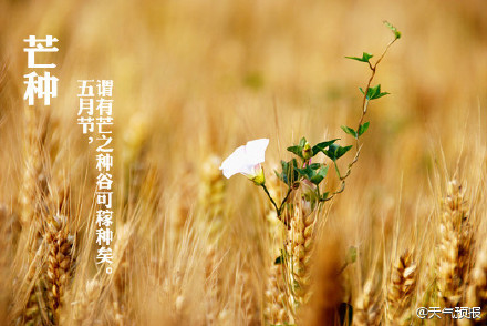 芒種打雷年成好，節(jié)能環(huán)保凱能強(qiáng)