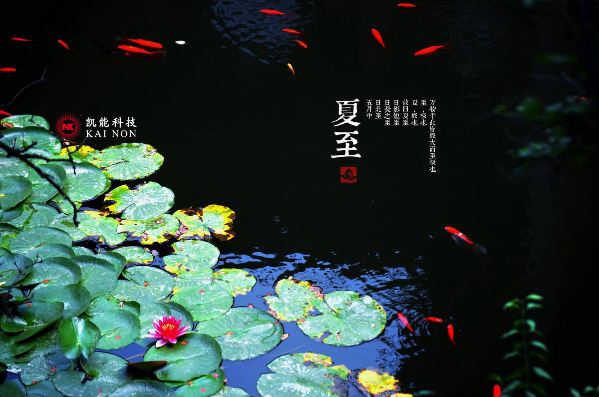 凱能科技溫馨提示：夏至已至，養(yǎng)生吃苦