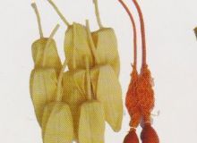 點(diǎn)擊查看詳細(xì)信息<br>標(biāo)題：取氣樣球膽 閱讀次數(shù)：144